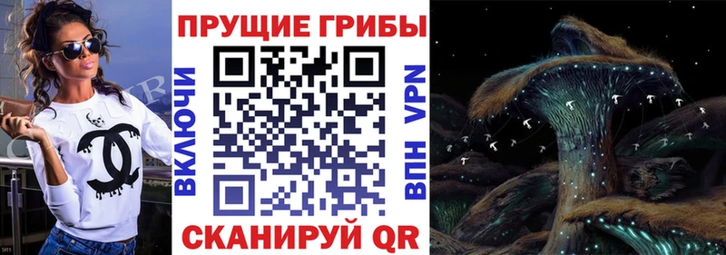 Псилоцибиновые грибы Psilocybine cubensis  как найти   блэк спрут сайт  Сатка 